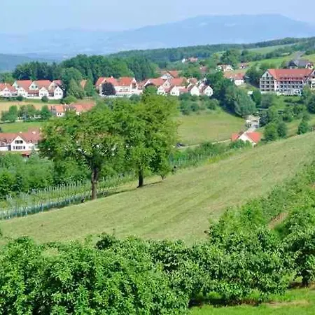 In - Steiermark 43929