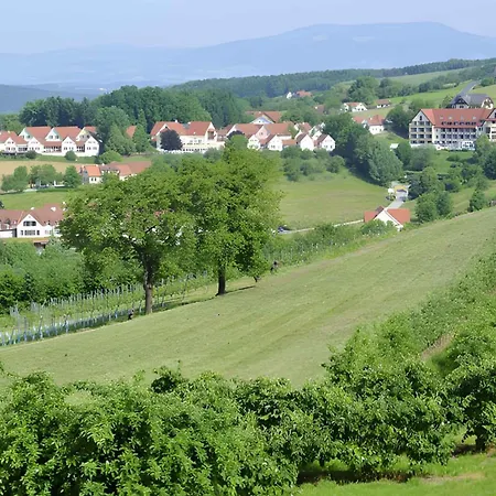 Апартаменты In - Steiermark 43929 *